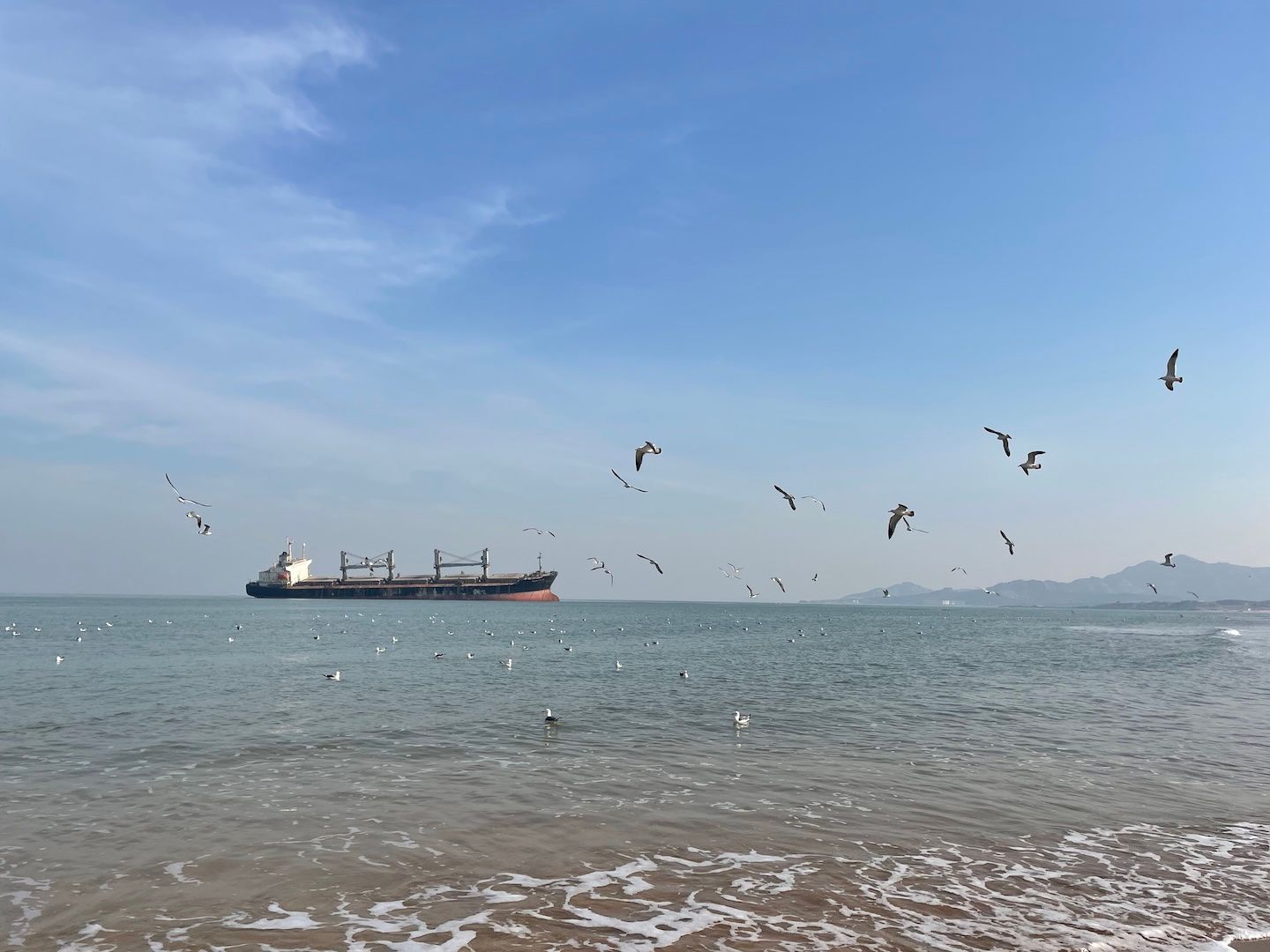 威海的布鲁维斯号货轮